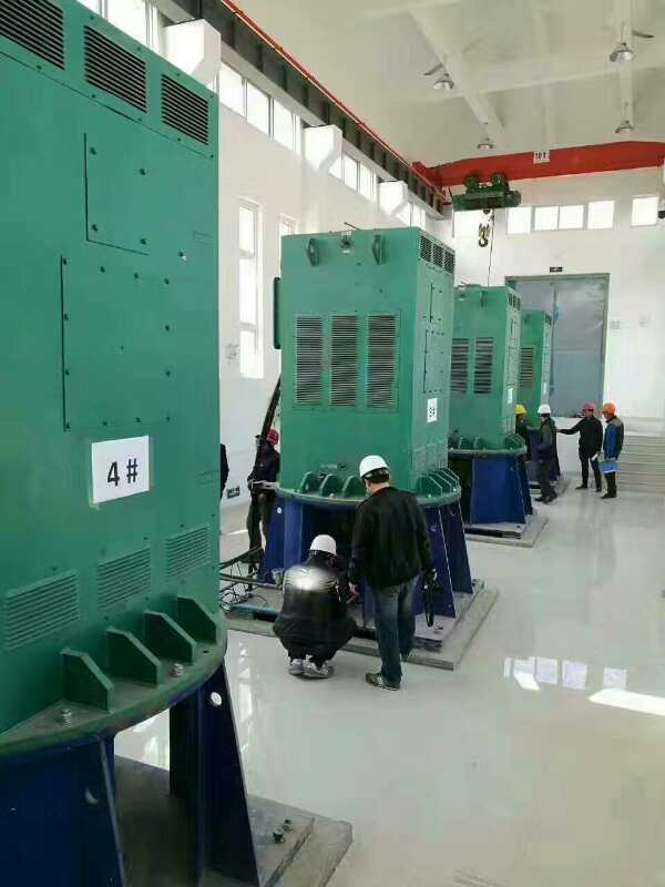 YKK5005-10某污水处理厂使用我厂的立式高压电机安装现场