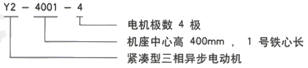 YR系列(H355-1000)高压YKK5005-10三相异步电机西安西玛电机型号说明